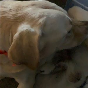 Meet your Posher, Scott